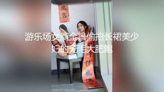 游乐场女厕全景偷拍长裙美少妇的无毛大肥鲍