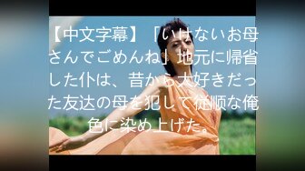 【中文字幕】「いけないお母さんでごめんね」地元に帰省した仆は、昔から大好きだった友达の母を犯して従顺な俺色に染め上げた。