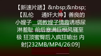 高跟丝袜露脸微SM,小骚逼的情趣性生活三个洞都可以玩