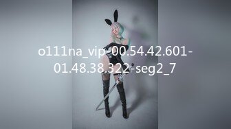 o111na_vip-00.54.42.601-01.48.38.322-seg2_7