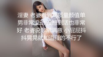 淫妻 老婆看到高质量颜值单男非常主动 没想到活也非常好 老婆说非常满意 小屁屁抖抖晃晃就知道骚的不行了