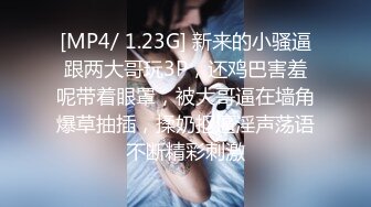 [MP4/ 1.23G] 新来的小骚逼跟两大哥玩3P，还鸡巴害羞呢带着眼罩，被大哥逼在墙角爆草抽插，揉奶抠逼淫声荡语不断精彩刺激