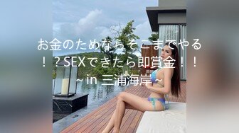 お金のためならそこまでやる！？SEXできたら即賞金！！～in 三浦海岸～