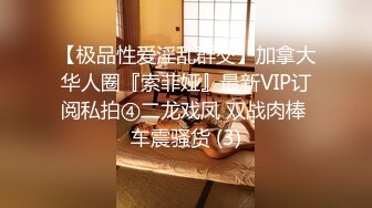 【极品性爱淫乱群交】加拿大华人圈『索菲娅』最新VIP订阅私拍④二龙戏凤 双战肉棒 车震骚货 (3)