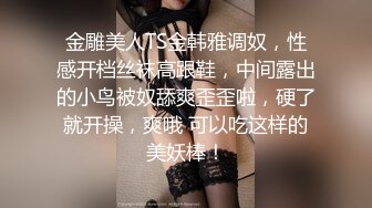 金雕美人TS金韩雅调奴，性感开档丝袜高跟鞋，中间露出的小鸟被奴舔爽歪歪啦，硬了就开操，爽哦 可以吃这样的美妖棒！