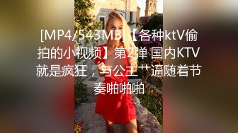 [MP4/543MB]【各种ktV偷拍的小视频】第2弹 国内KTV就是疯狂，与公主艹逼随着节奏啪啪啪