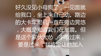 好久没见小母狗了，一见面就给我口，坐上来自己动。路边的大卡车司机一直在旁边晃悠，大概是知道我们在车震。但是这个家伙太怂，不敢过来，要是过来，我肯定让他加入