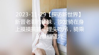 2023-11-29【探访新世界】新晋老哥约妹妹，沙发骑在身上摸摸搞搞，埋头吃吊，骑乘位暴插骚穴