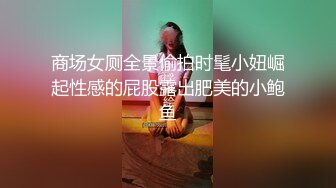 商场女厕全景偷拍时髦小妞崛起性感的屁股露出肥美的小鲍鱼