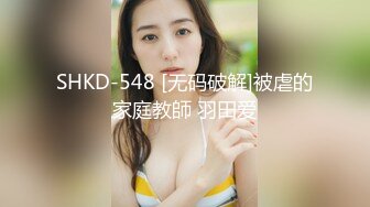 SHKD-548 [无码破解]被虐的家庭教師 羽田爱