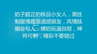 奶子超正的极品小女人，黑丝制服情趣装诱惑狼友，风情妩媚会勾人，揉奶玩逼自慰，呻吟可射，精彩不要错过