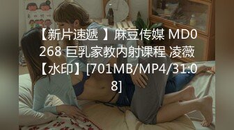 【新片速遞 】麻豆传媒 MD0268 巨乳家教内射课程 凌薇【水印】[701MB/MP4/31:08]