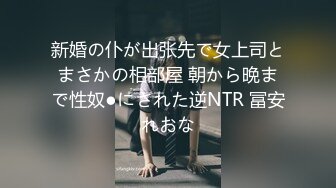 新婚の仆が出张先で女上司とまさかの相部屋 朝から晩まで性奴●にされた逆NTR 冨安れおな