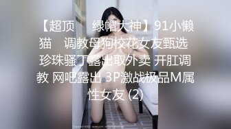 【超顶❤️绿帽大神】91小懒猫✨ 调教母狗校花女友甄选 珍珠骚丁露出取外卖 开肛调教 网吧露出 3P激战极品M属性女友 (2)