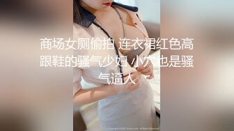 商场女厕偷拍 连衣裙红色高跟鞋的骚气少妇 小穴也是骚气逼人