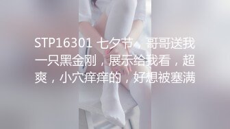 STP16301 七夕节，哥哥送我一只黑金刚，展示给我看，超爽，小穴痒痒的，好想被塞满