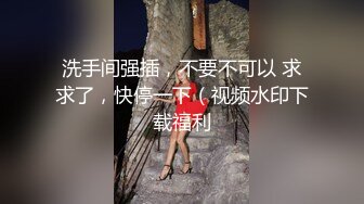 洗手间强插，不要不可以 求求了，快停一下（视频水印下载福利