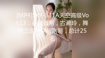 [MP4]SKY-331A天空高级Vol.13：小泉真希，古濑玲，舞咲三国，早川路易，总计25名