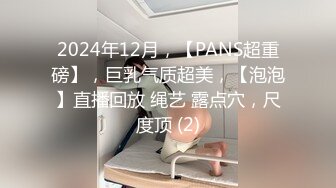 2024年12月，【PANS超重磅】，巨乳气质超美，【泡泡】直播回放 绳艺 露点穴，尺度顶 (2)